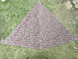 Rakouská celta K4 Tarn 