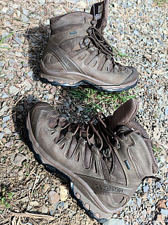 Salomon Quest 4D GTX Forces 2 EN 2023 Earth Brown