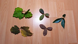 Maskovací komponenty KMCS / Novritsch