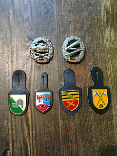 Vojenské kapsové odznaky 