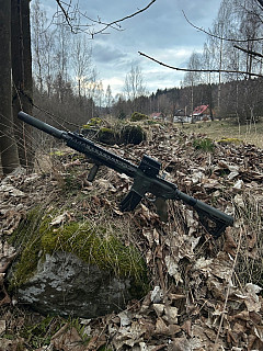 AR-15 (HPA Polarstar Jack v2)