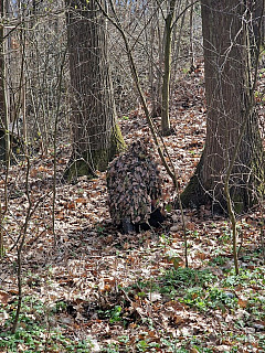 PRODÁM: Maskovací převlečník (Ghillie/Leafy suit)