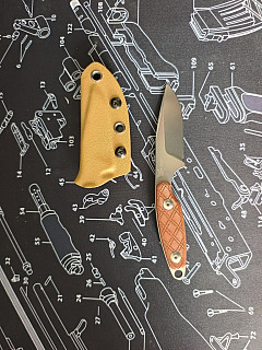 Kizer Muskrat Derek Sharon