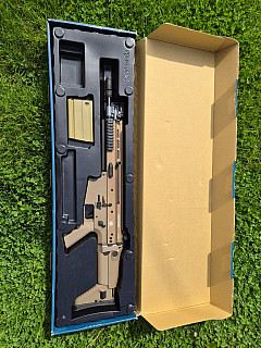 Scar H
