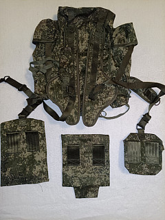 RD-54 CIFRA