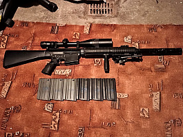 SR25 DMR
