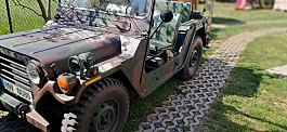 Ford Mutt