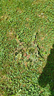 Ghillie chestrig