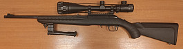 Ruger American Rimfire
