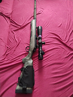 Vsr 10
