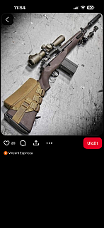 Koupím M14