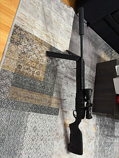 Asg steyr scout