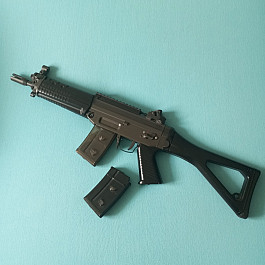 Sig 552
