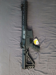 G&G wild hog novy 
