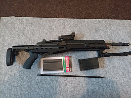 M14 EBR SOPMOD