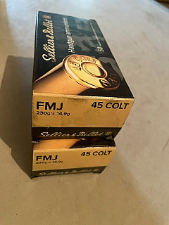 .45 Colt