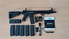 AEG AR15