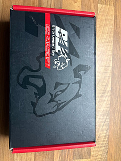 ICS PM2 GNB