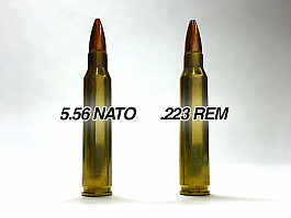 Sháním znehodnocené náboje 5.56×45 NATO cca 10-20ks