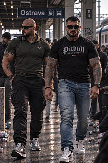 Hledám bodyguarda