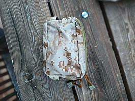FLYYE MOLLE Single aor1