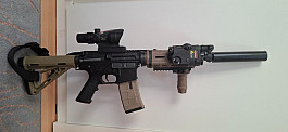 AR-15 Arcturus