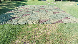 maskovací síť