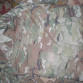 US Army tropical OCP scorpion HOT WEATHER kalhoty blůza
