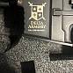 Prodám/vyměním AR15 od delta armory 