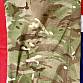Britské kalhoty combat, MTP - použité Velikost 85/92/108