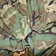 US ARMY WDL woodland M 65 US M65 BUNDA JACKET PARKA COAT COLD WEATHER