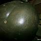 US Army PASGT WDL Woodland HELMA HELMET Kevlarová helma U.S.