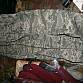 US ARMY ABU kalhoty USAF Digital Tiger Stripe