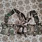 Dělený taktický Chest rig 34 Alpha - MC, Čajna