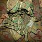 US Army woodland wdl vesta taktická LOAD TACTICAL BEARING VEST