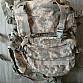 Us Army výstroj, gear Molle UCP