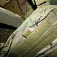 Tasmanian Tiger Plate Carrier  - Multicam MC nosič plátů molle II 