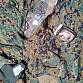 Tru Spec Marpat uniforma 