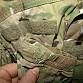 US ARMY MC OCP L5 bunda GEN III GEN 3 soft sheel cold weather