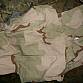 US Army PASGT OBAL na vestu 3D COVER VEST 3 COLOR DESERT WDL  U.S.