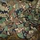 US ARMY M 65 US M65 BUNDA COLD WEATHER WDL Woodland