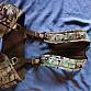 Templars gear harness nosný systém multicam