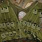 US ARMY FLC vest MOLLE II GRENADE CARRIER US WDL Woodland Zelená Alice