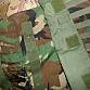 US Army WDL WOODLAND  vesta IBA molle II Interceptor body armor