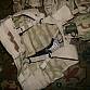 US ARMY FLC vest MOLLE II FIGHTING LOAD CARRIER US 3D sumky 3 color