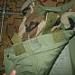 US Army WDL WOODLAND vesta IBA molle II Interceptor body armor