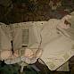 US Army desert 3D vesta IBA molle II Interceptor body armor 3 color desert 