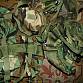 US Army WDL WOODLAND náprdelák Training FIELD PACK  molle II U.S.