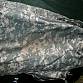US Army ACU UCP goretex kalhoty  gore-tex  cold weather USA