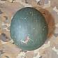 US army helma MICH2000 / ACH 